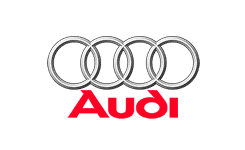 Remap de ECU / TCU Audi Race Performance